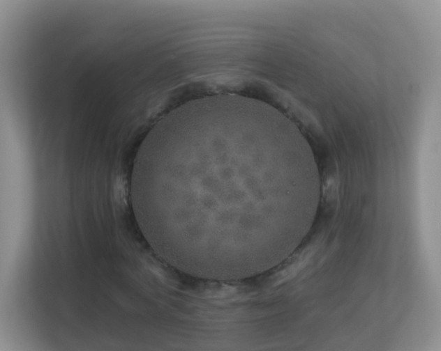 X0000113880772200909241352
