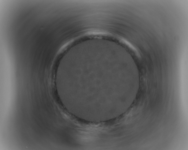 X0000113880775200909241351
