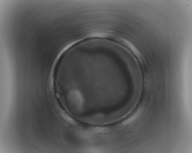 X0000113880779200909241351