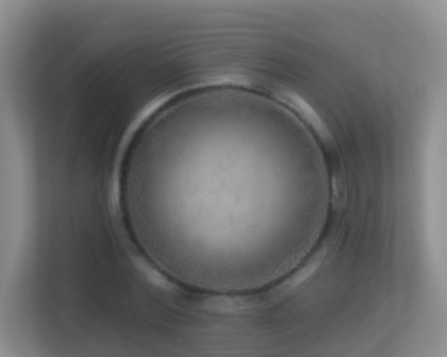 X0000113880780200909241351