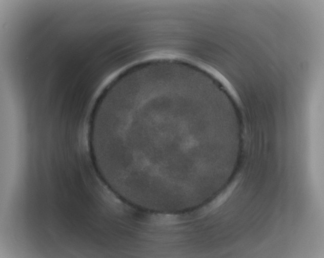 X0000113880783200909241351