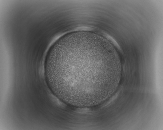X0000113880784200909241351