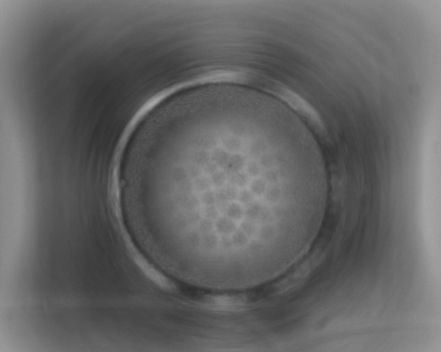 X0000113880792200909241351