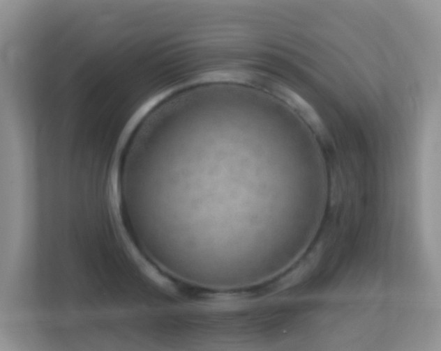 X0000113880796200909241351
