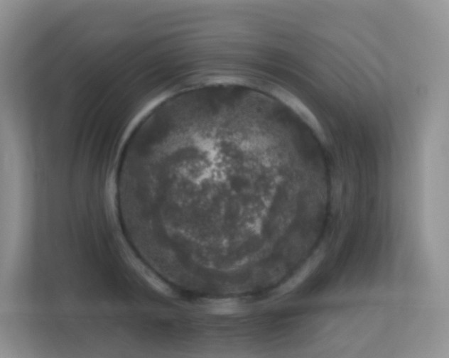 X0000113880798200909241351