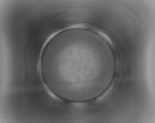 X0000113880800200909241351