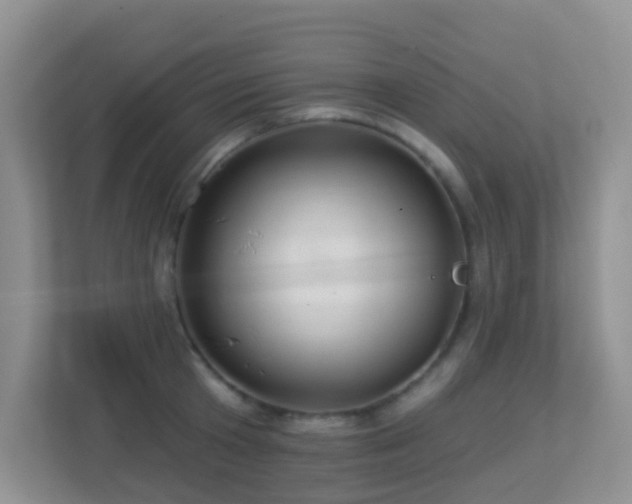 X0000113880801200909241351