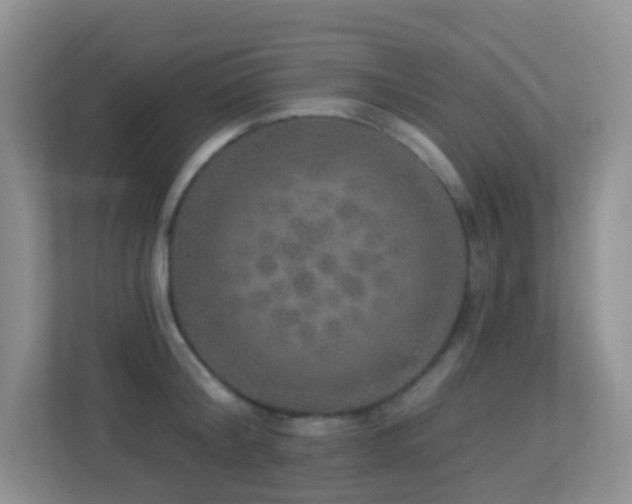 X0000113880804200909241351