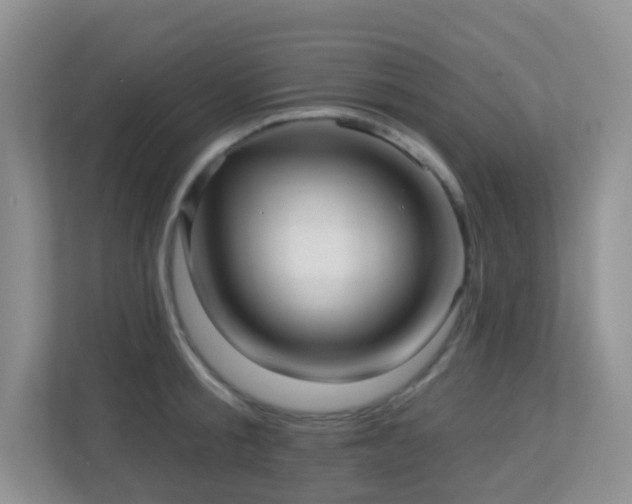 X0000113880805200909241351