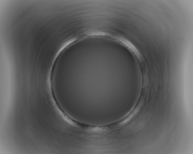 X0000113880806200909241351