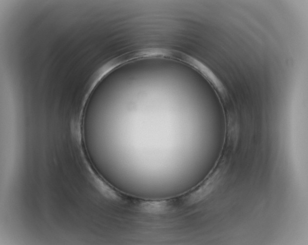 X0000113880810200909241351