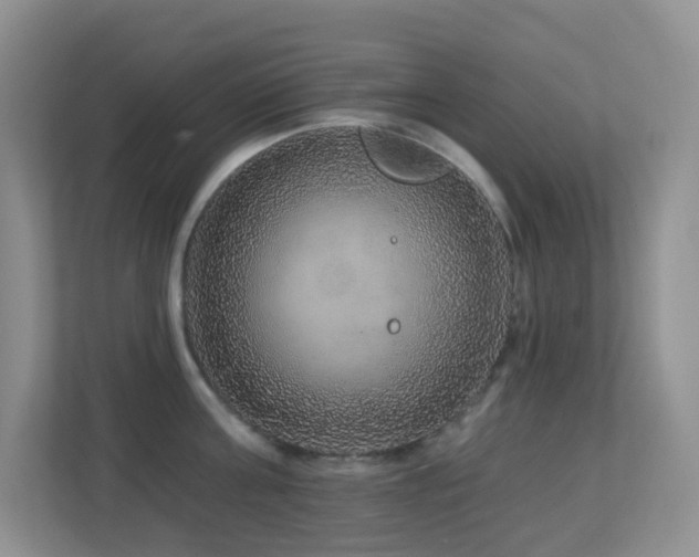 X0000113880811200909241351