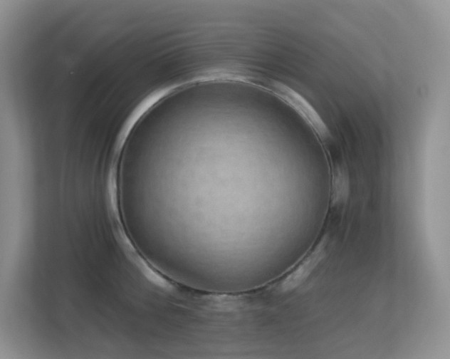 X0000113880812200909241351