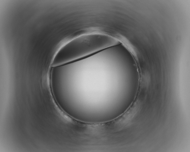 X0000113880813200909241351