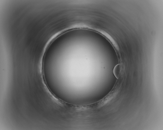 X0000113880815200909241351
