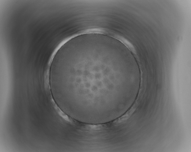 X0000113880816200909241351