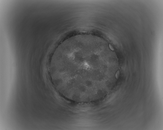 X0000113880817200909241350