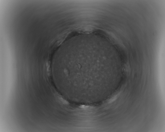 X0000113880818200909241350