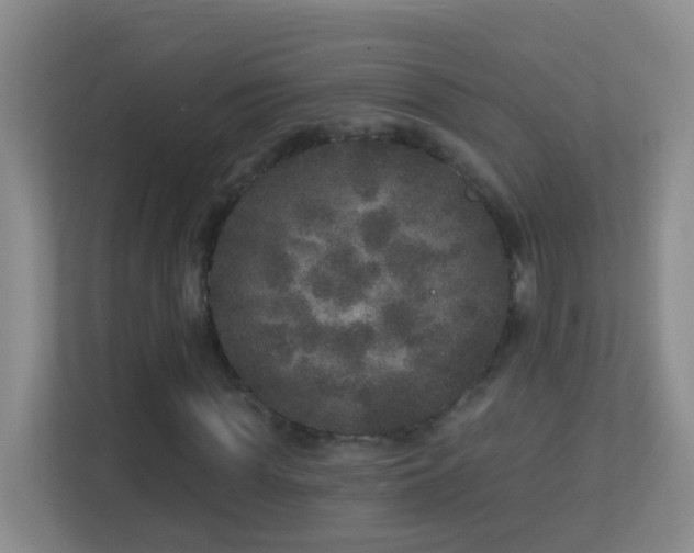 X0000113880819200909241350