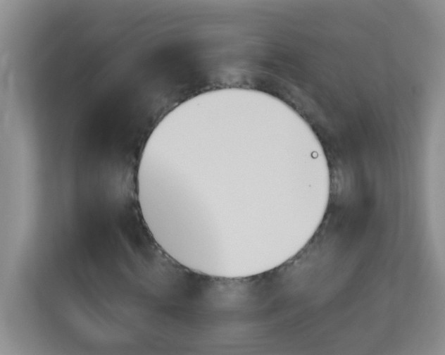 X0000113880820200909241350