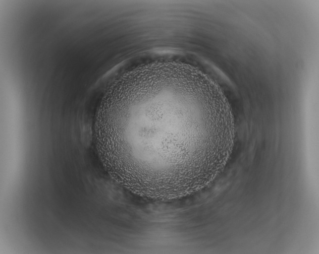 X0000113880821200909241350
