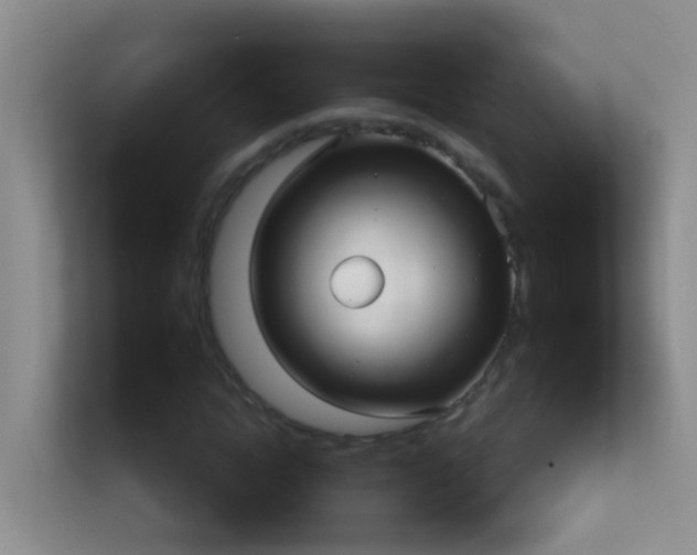 X0000113880822200909241350