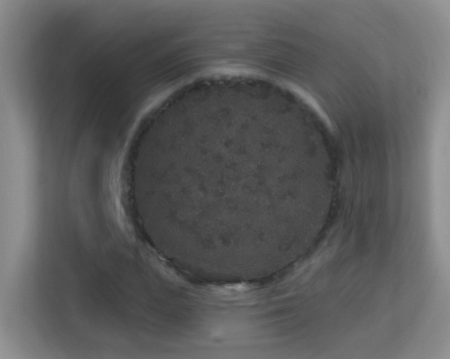 X0000113880823200909241350