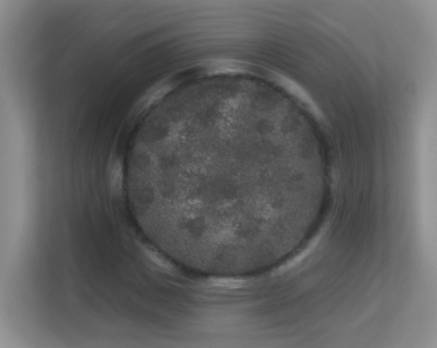 X0000113880825200909241350