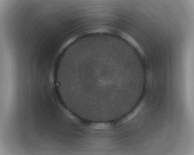 X0000113880826200909241350