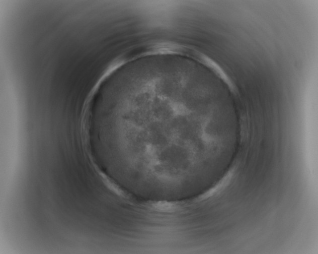 X0000113880827200909241350