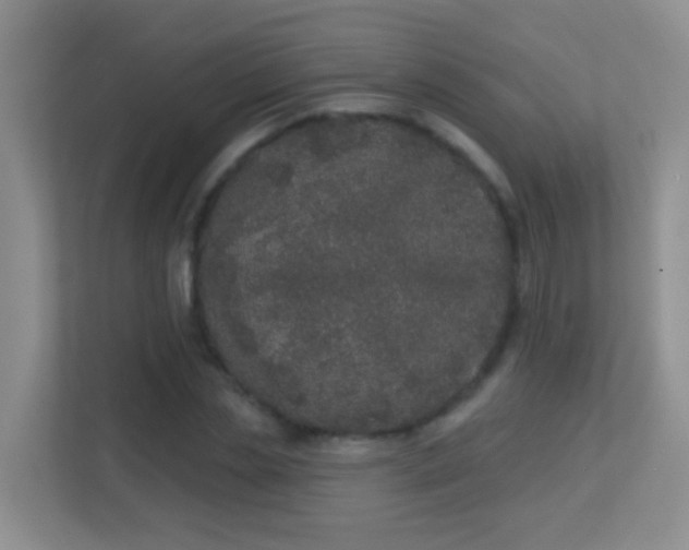 X0000113880829200909241350