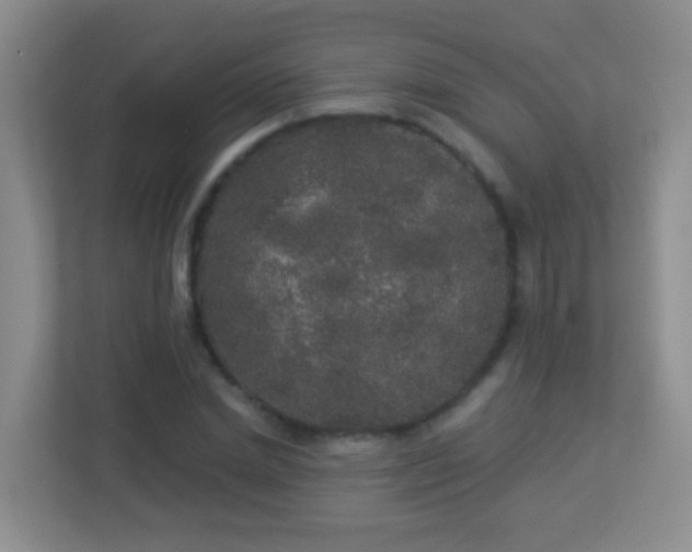 X0000113880830200909241350
