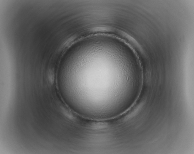 X0000113880833200909241350