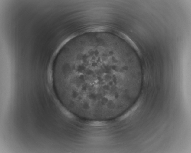 X0000113880835200909241350