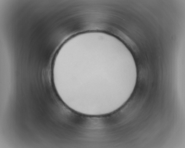 X0000113880836200909241350