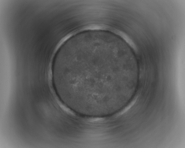 X0000113880837200909241350
