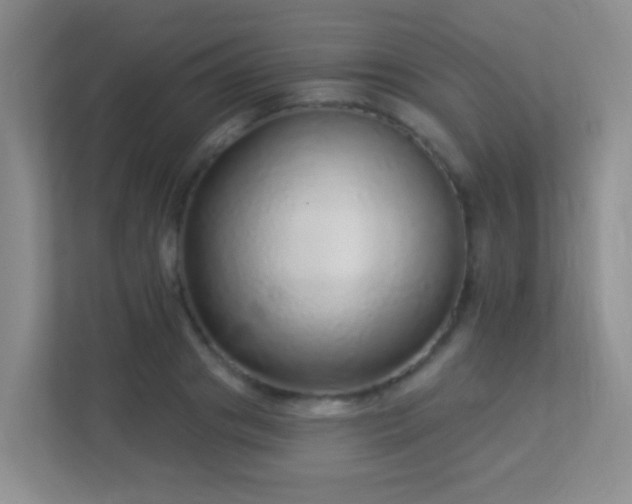 X0000113880841200909241350