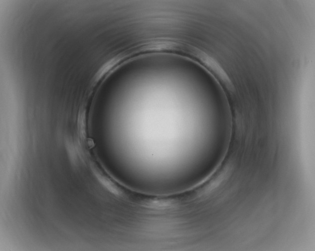 X0000113880842200909241350