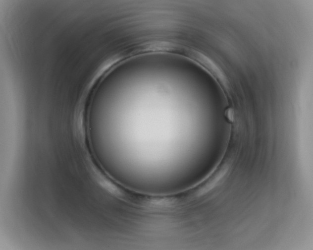 X0000113880843200909241350