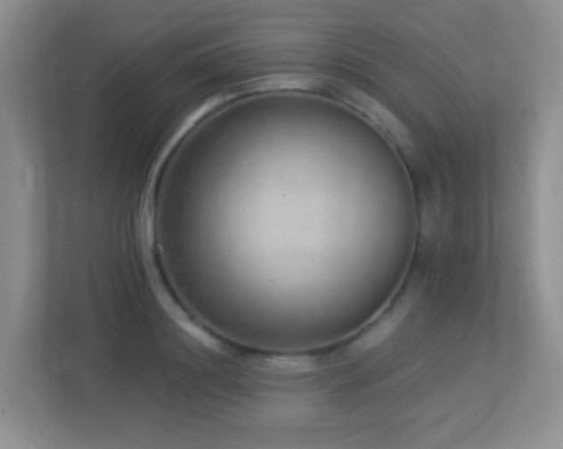 X0000113880844200909241350