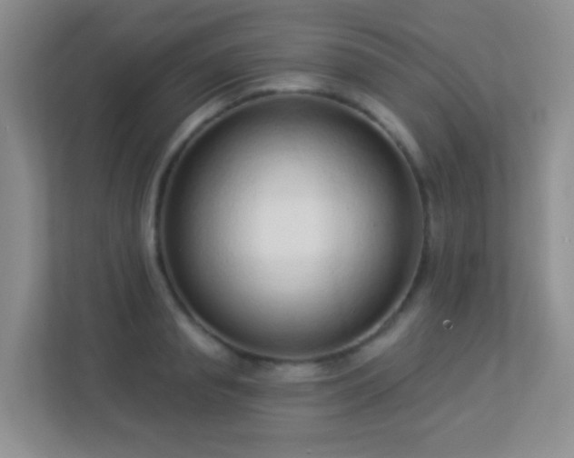 X0000113880845200909241351