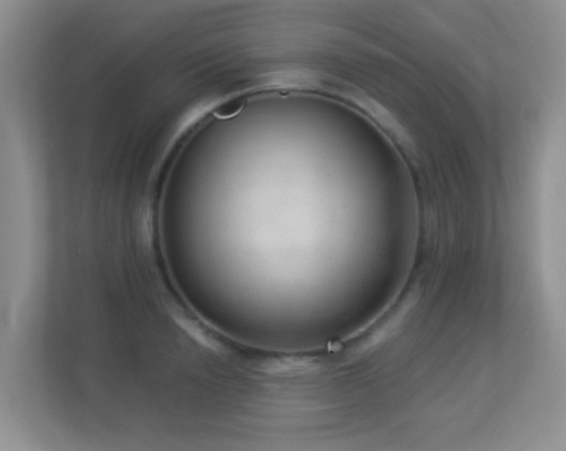 X0000113880846200909241351