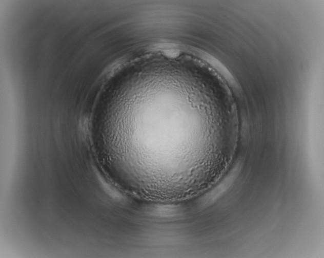 X0000113880849200909241351