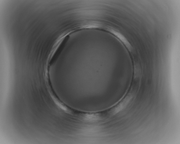 X0000113880850200909241351