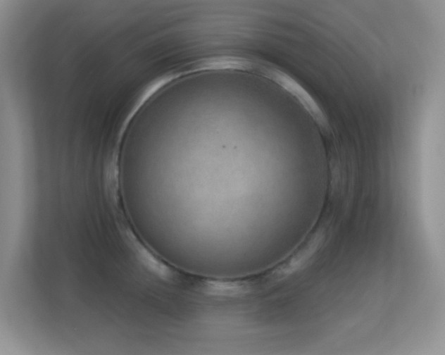 X0000113880852200909241351