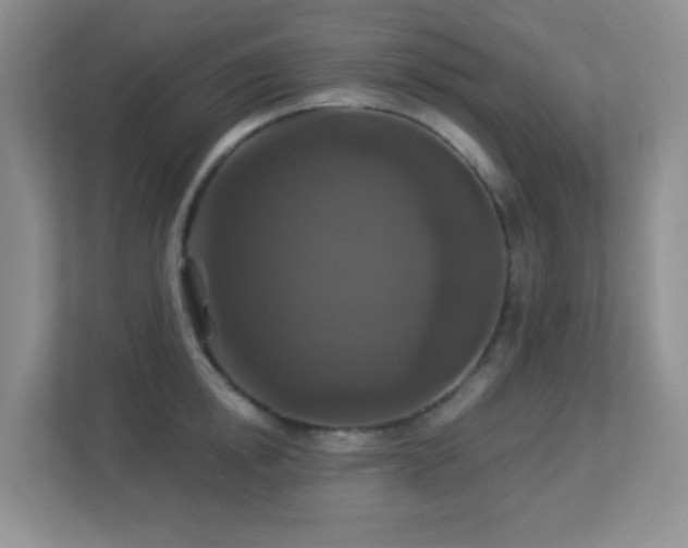 X0000113880854200909241351