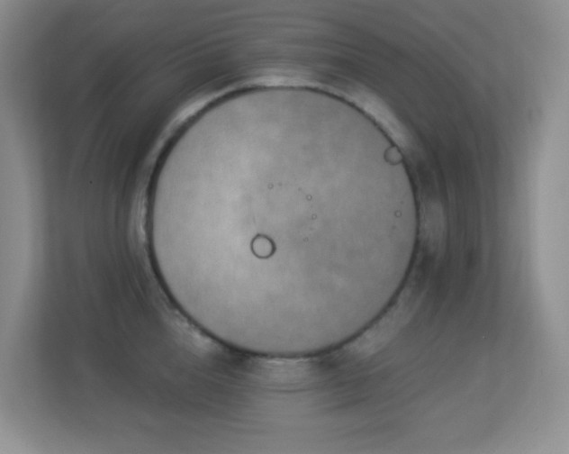 X0000113880856200909241351