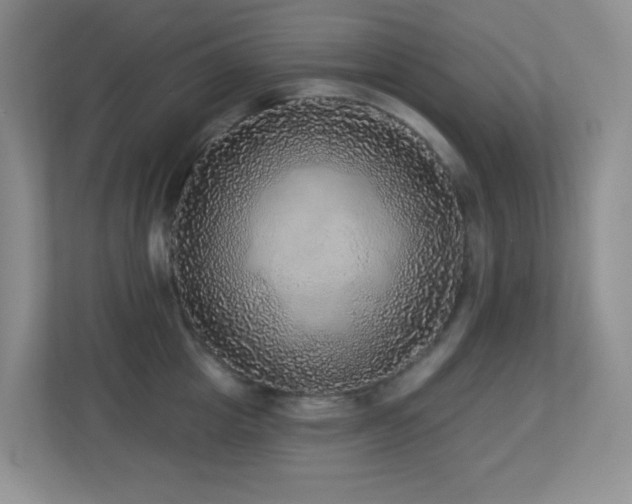 X0000113880857200909241351