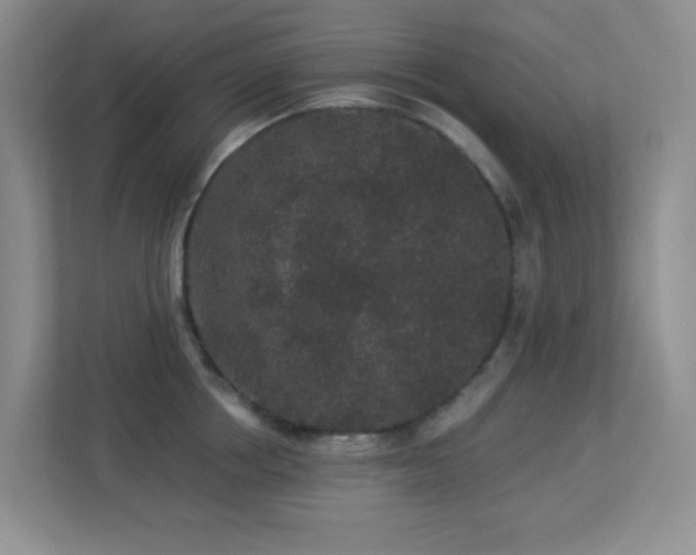 X0000113880858200909241351