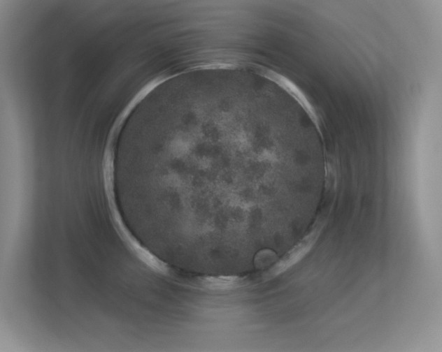 X0000113880859200909241351